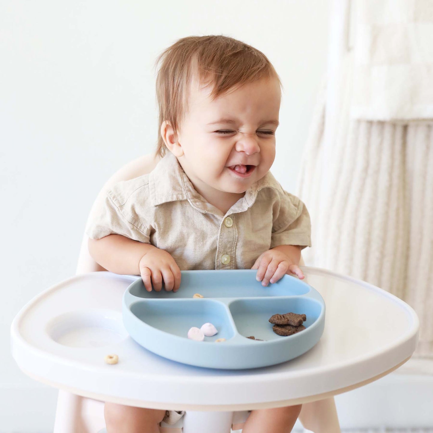 Silicone Suction Plate: Mauve
