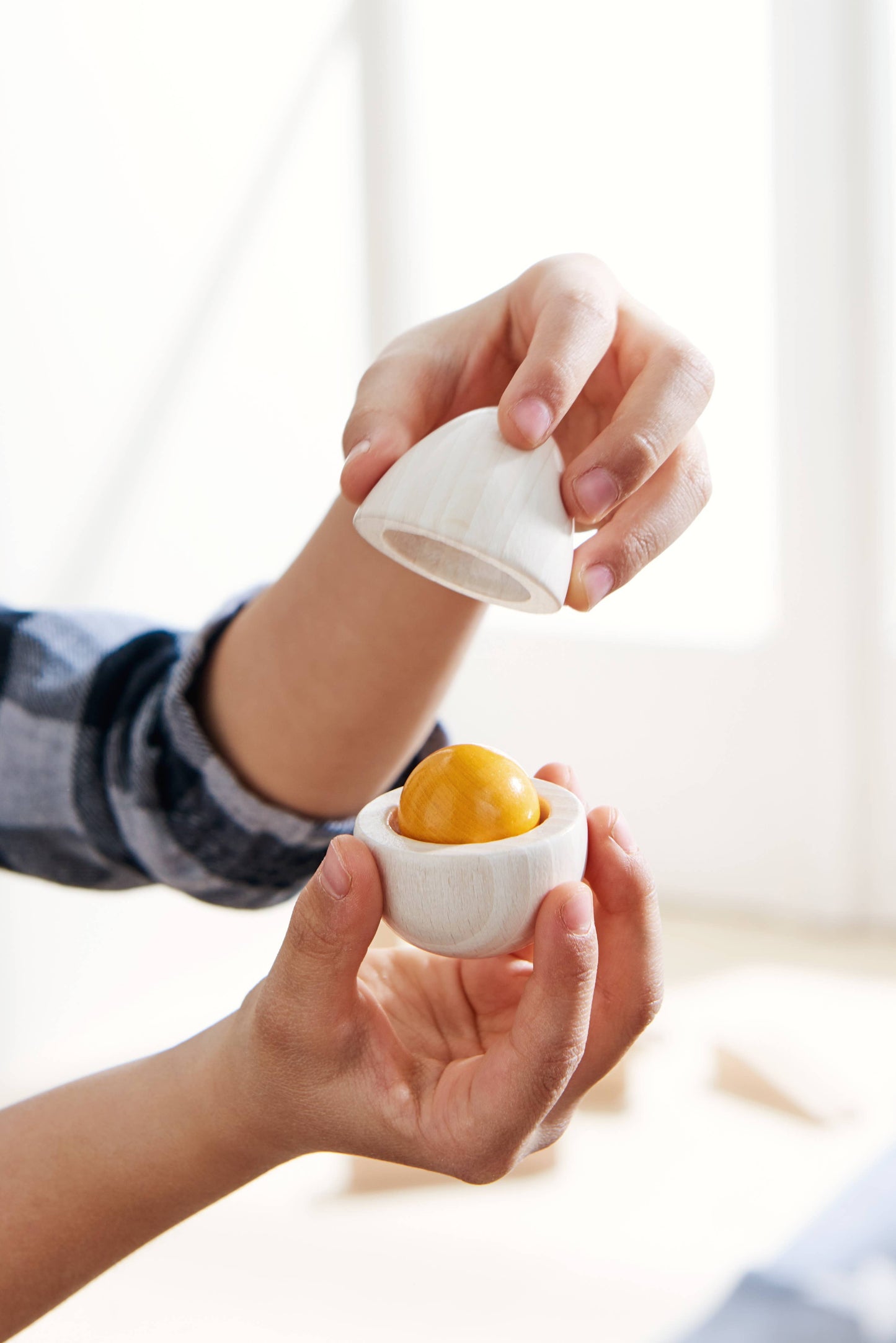 Wooden Eggs/Yolk