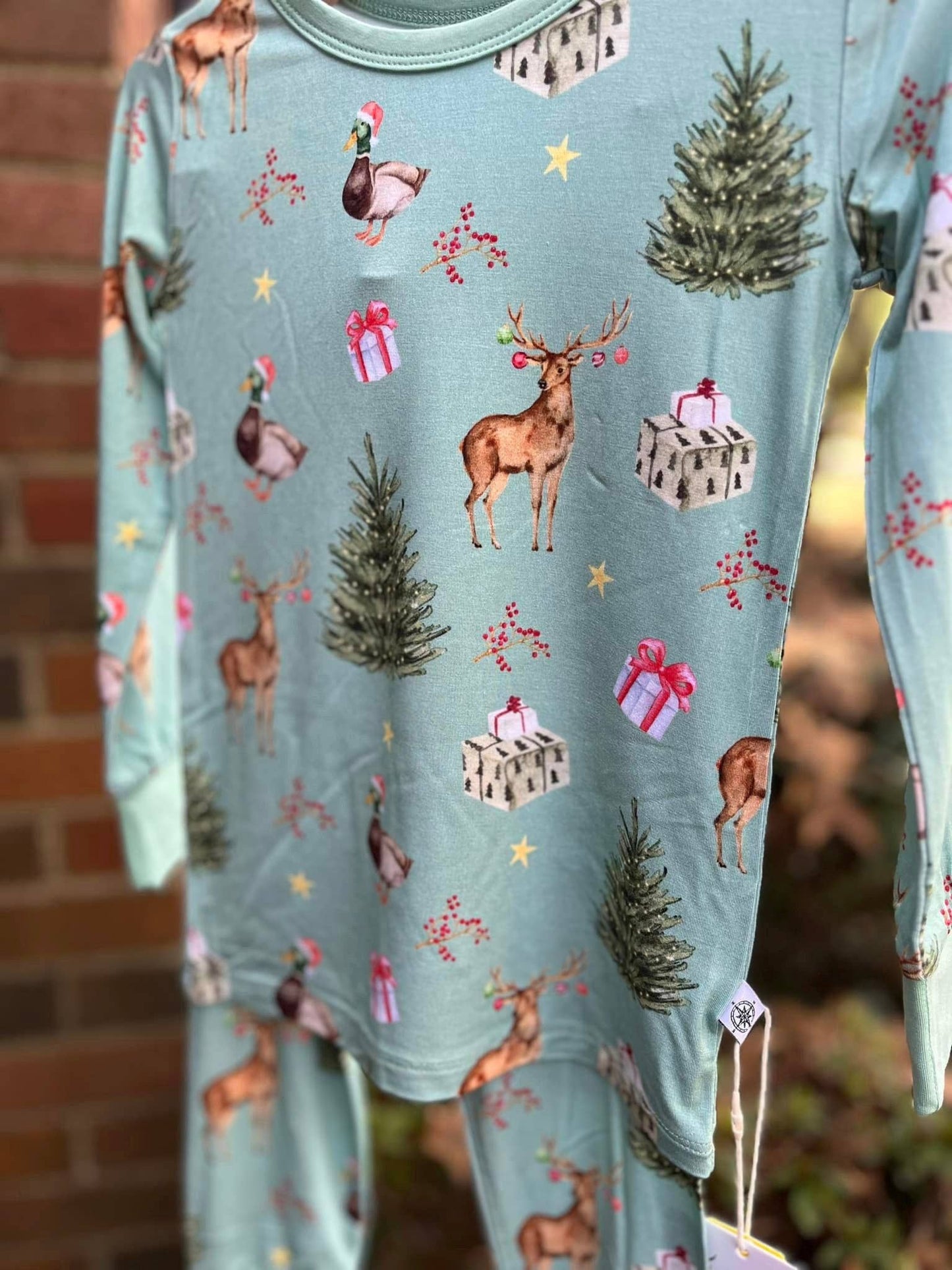 Southern Christmas Zippy
