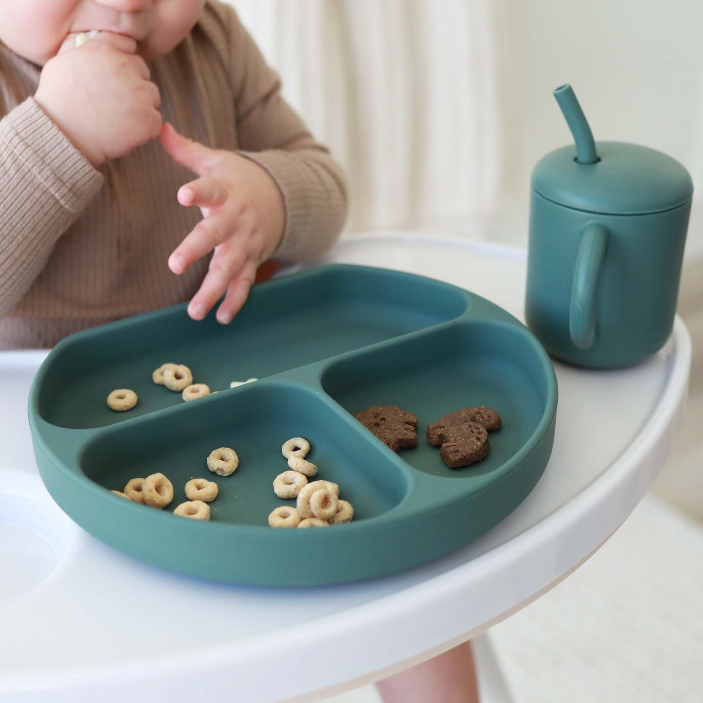 Silicone Suction Plate: Mauve