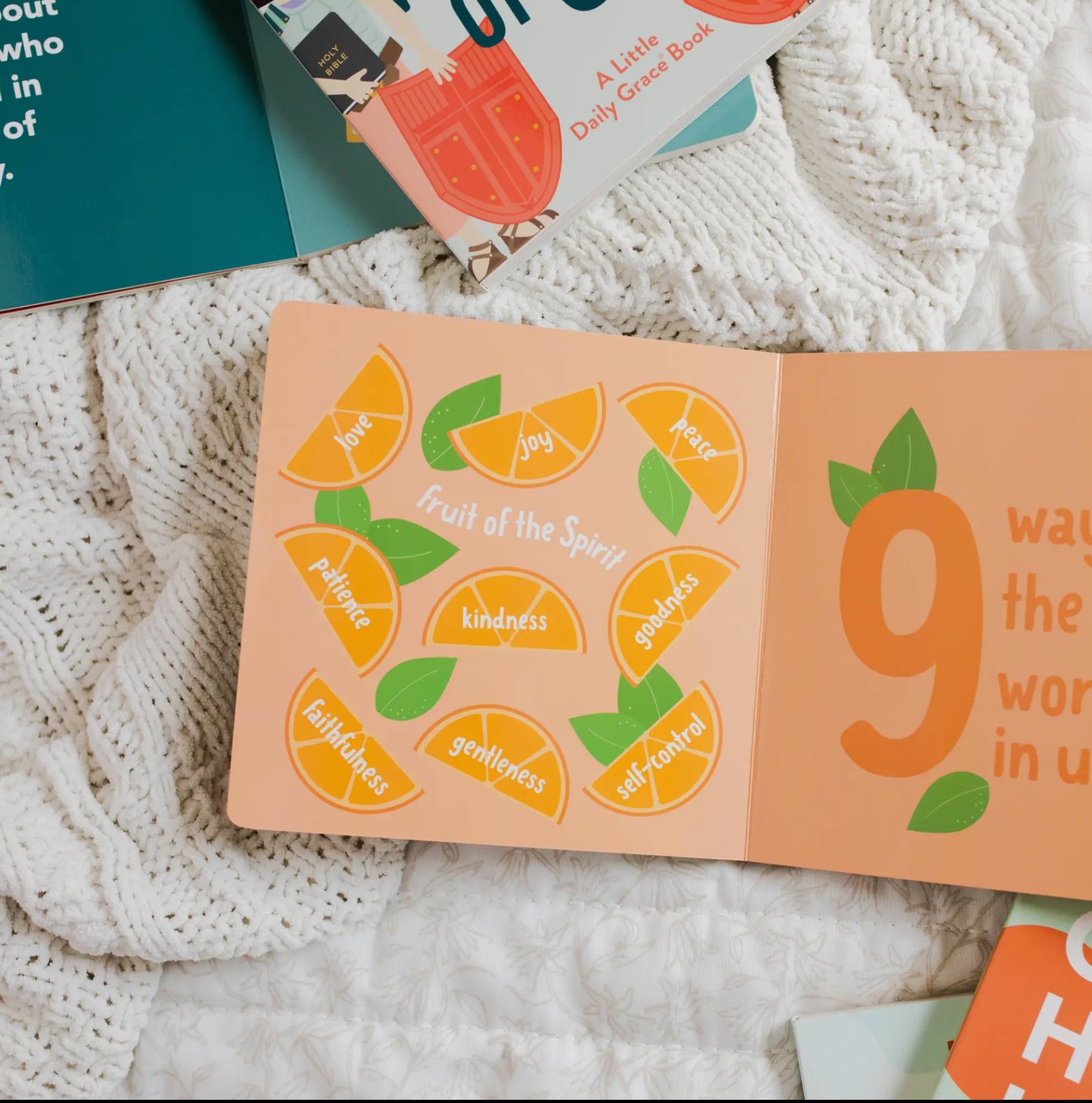 Counting Through the Bible Board Book