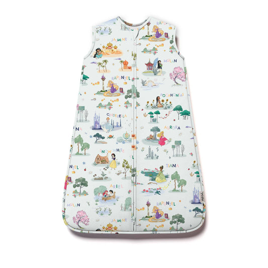 Sleep Bag DISNEY ENCHANTED KINGDOMS: 0-6 Months